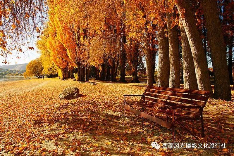 急速赛车挑战赛