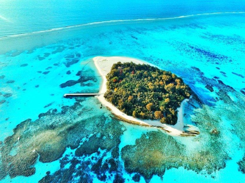 海之号角神秘海怪