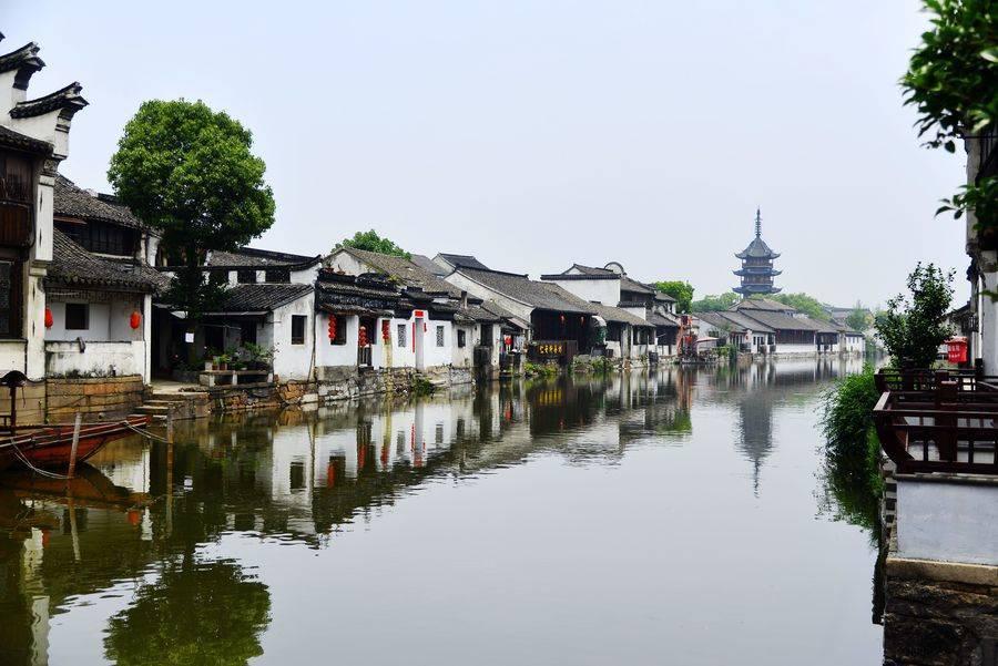 “游购乡村 好物迎春”会客厅 | 盘锦市文化旅游和广播电视局党组书记、局长舒然:探索“地理标志”赋能盘锦文旅